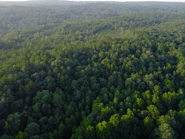 0 Levine Rd #0, Odenville, AL 35120