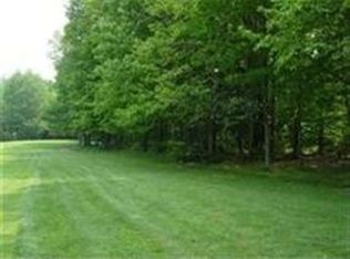 6687 Vienna Way, Bellaire, MI 49615
