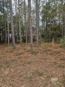 0 Gardner Rd Lot A, Elberta, AL, 36530