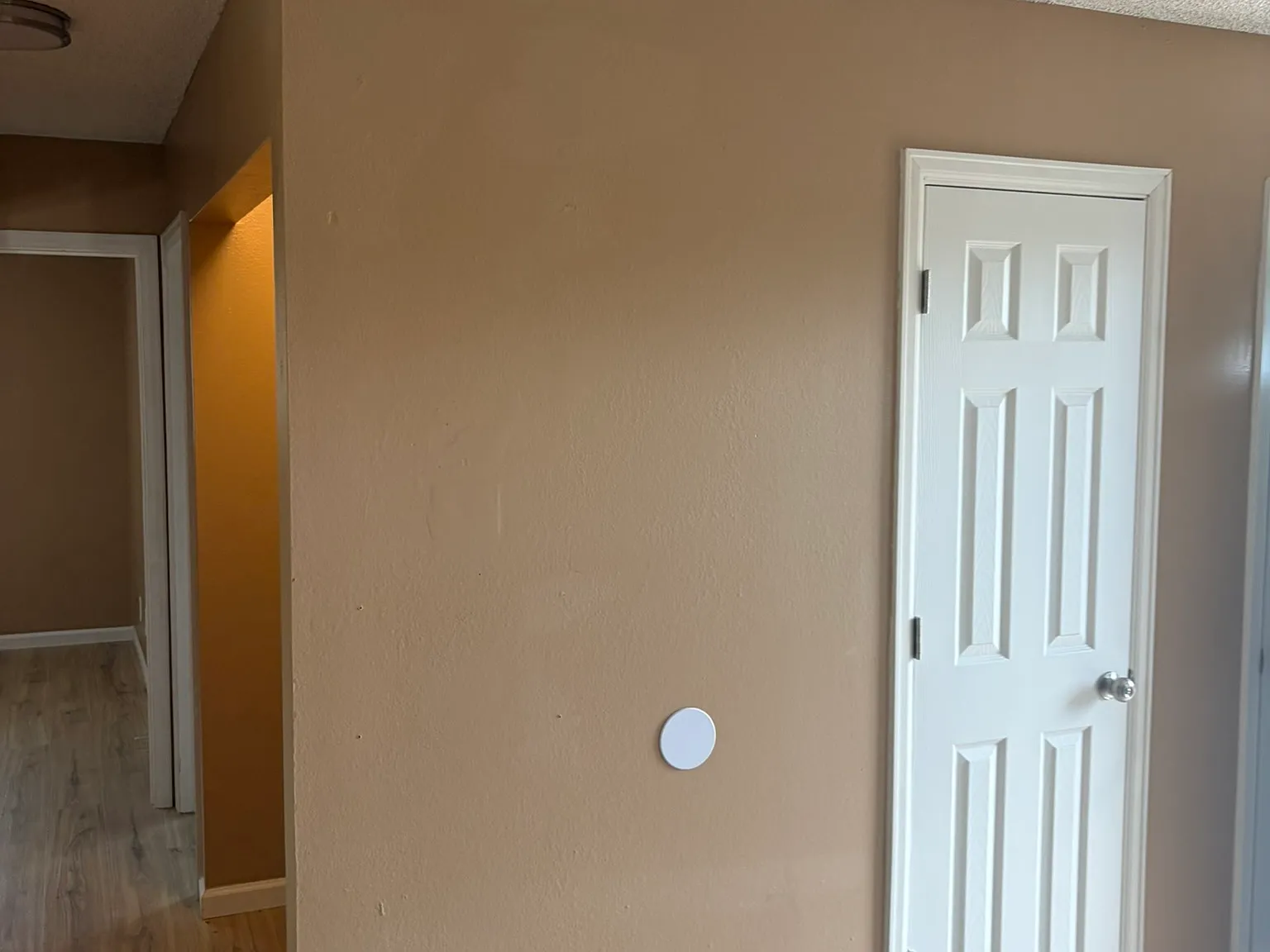 2 bed, 900 sqft, $1,800 — Photo 3