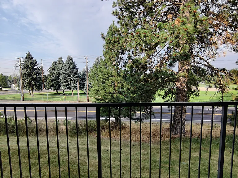 Aspens — Photo 32