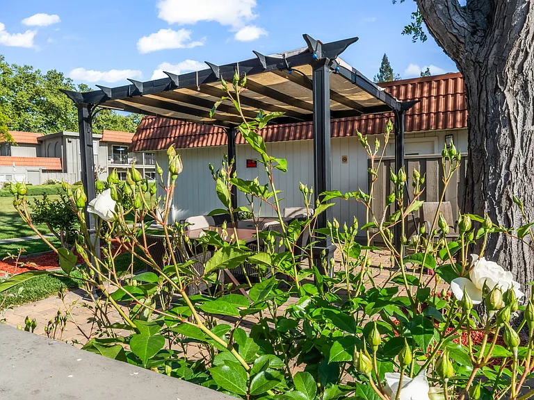 2451 Santa Rita Rd #52 — Photo 54