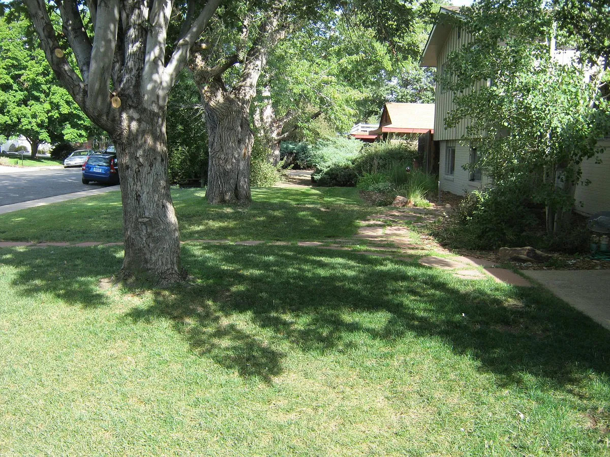 Building Photo - 4445 Comanche Dr #3