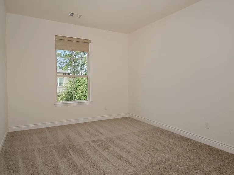 34 Daffodil Meadow Pl — Photo 22