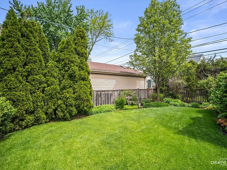 back yard