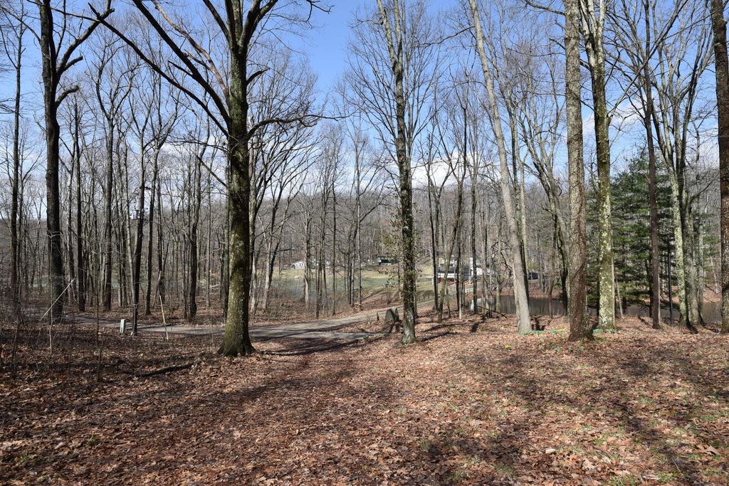 Real estate listing image