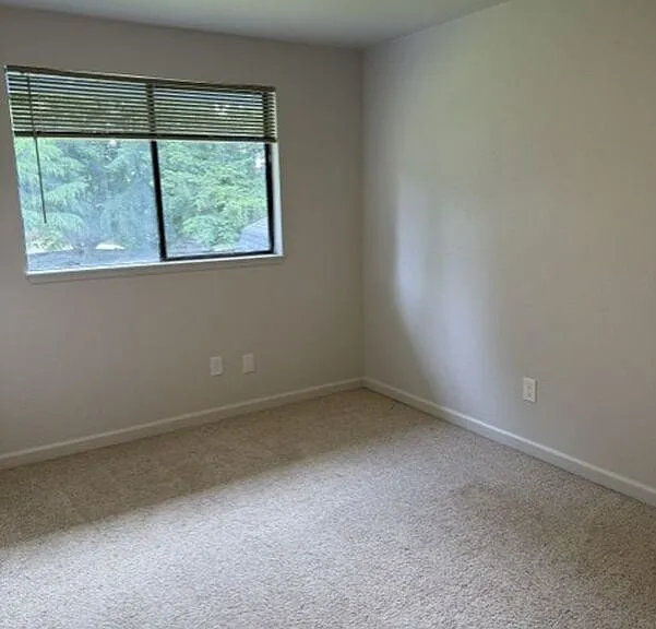 5019 139th Pl NE — Photo 15