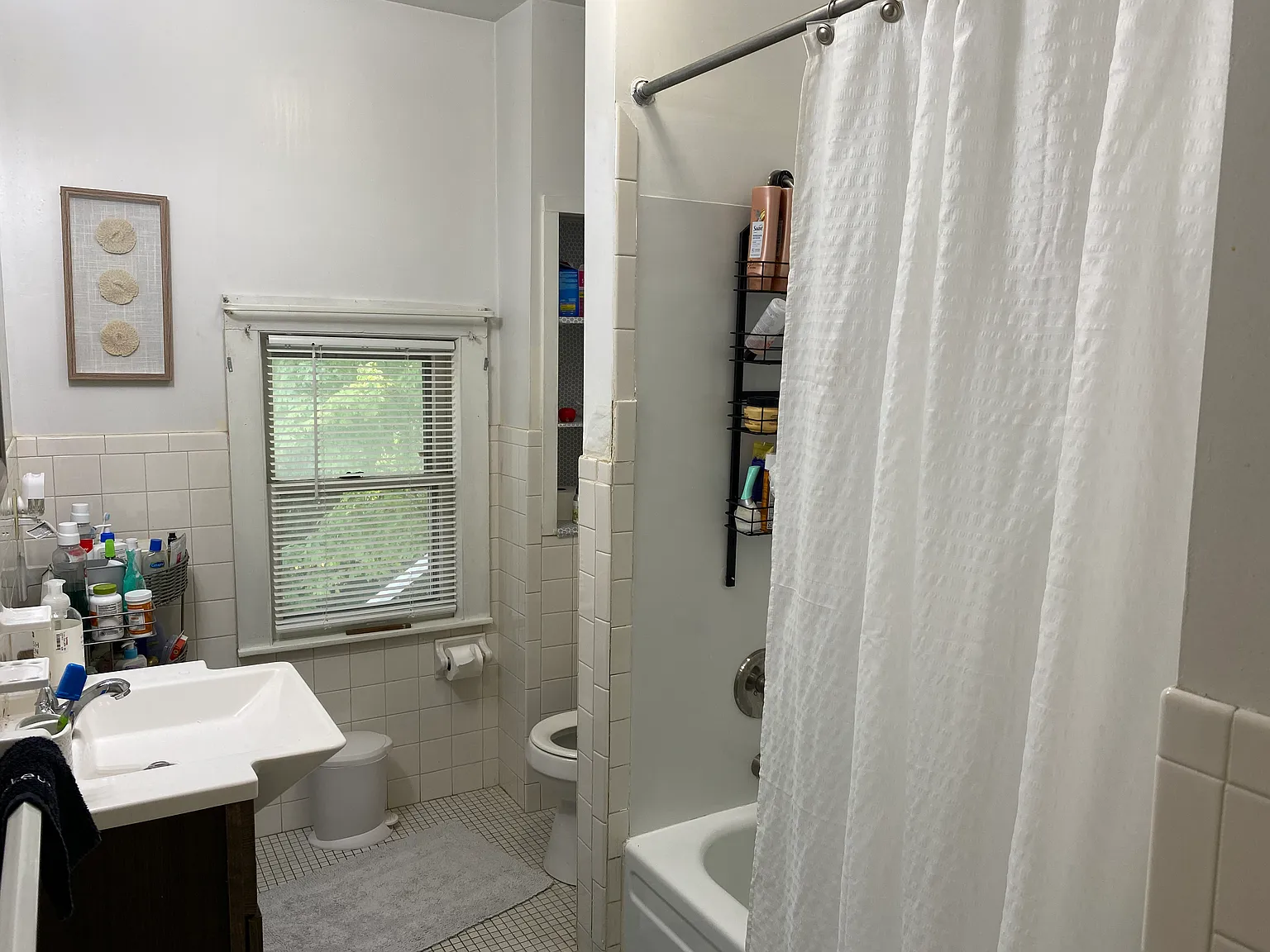 3 bed, 1500 sqft, $2,220 — Photo 4