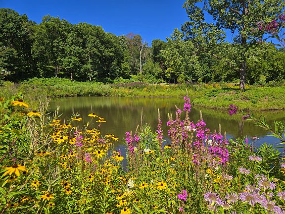 Leslie Golf Course and Nature Center is nearby