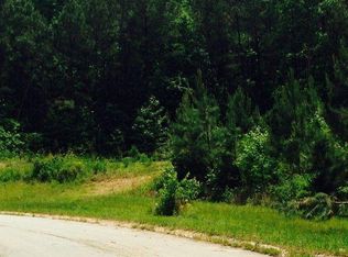 735 Charlotte Ln LOT 19, Bremen, GA