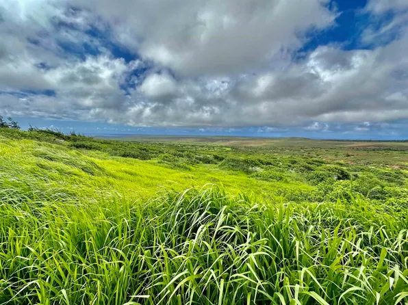 0 Kalua Koi Rd Lot 56, Maunaloa, HI 96770