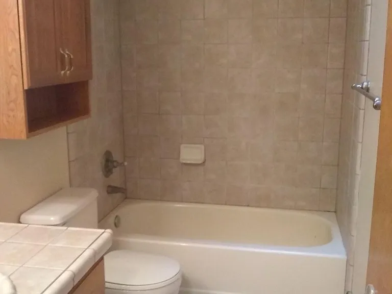 Main bathroom 2