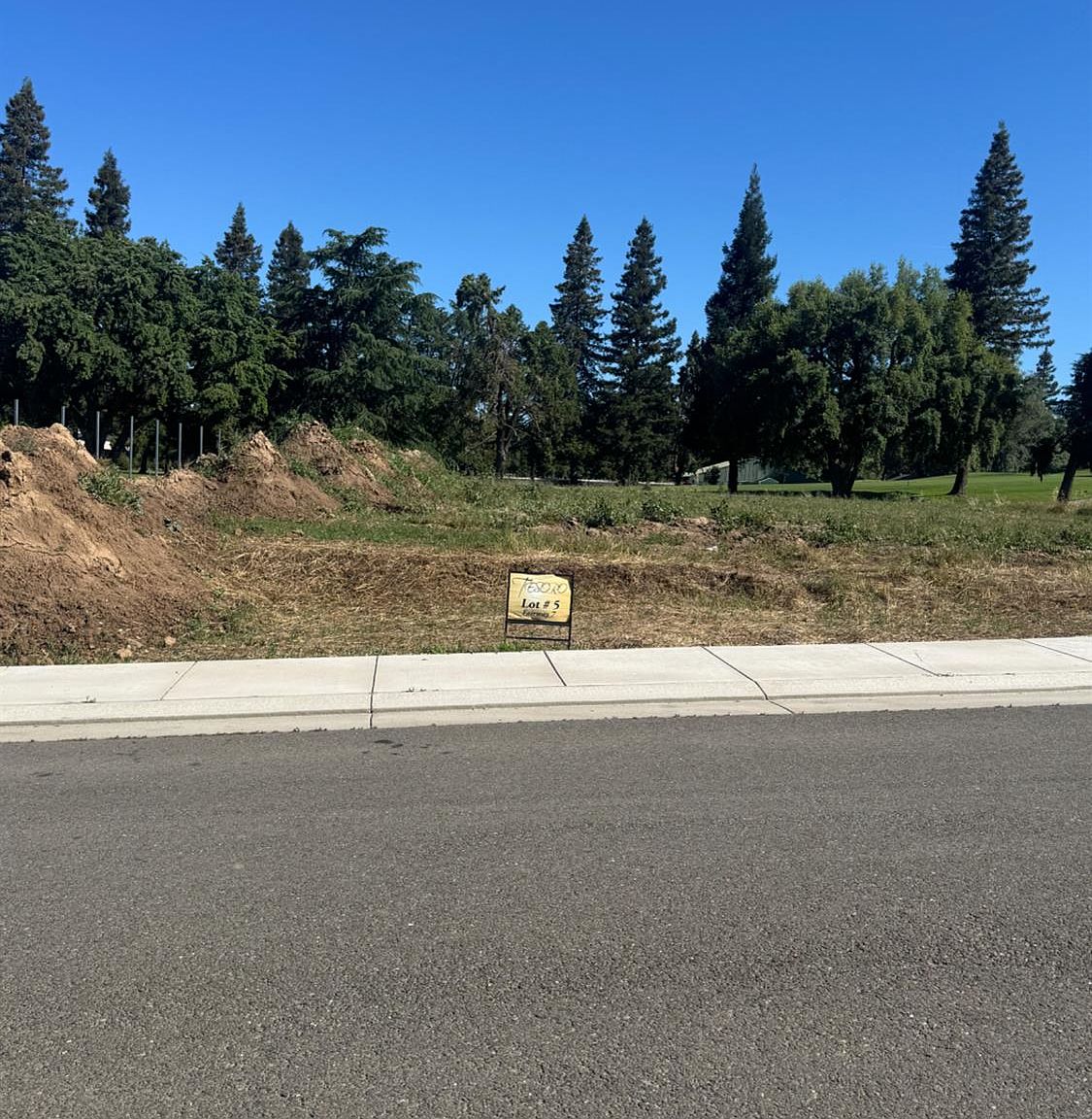 9819 Plaza De Oro Dr