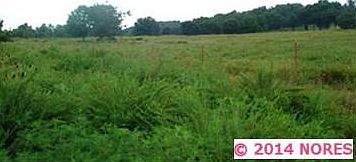 1st image of 13927 N Pumpkin Holw
