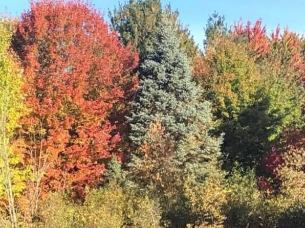 7552 Marsh Rd, Cottrellville, MI 48039