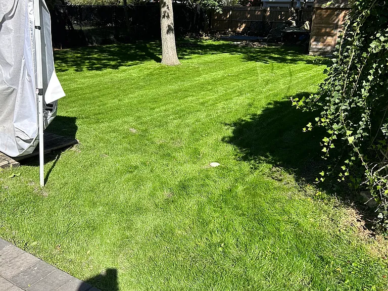 216 Catherine St — Photo 32