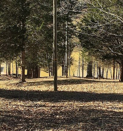 4th image of 303 Elk Lake Dr