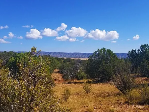 54189 N Bridge Canyon Pkwy, Seligman, AZ 86337
