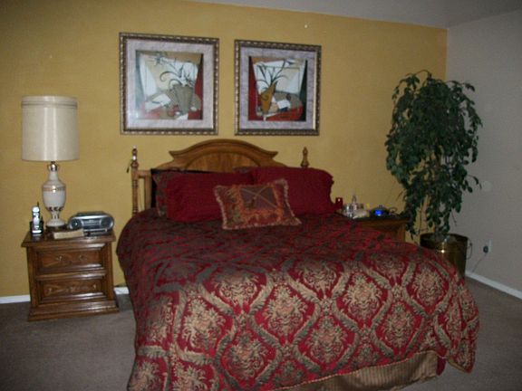 Master Bedroom (Vaulted ceiling)