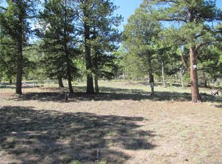 1132 Brahma Cir, Hartsel, CO 80449