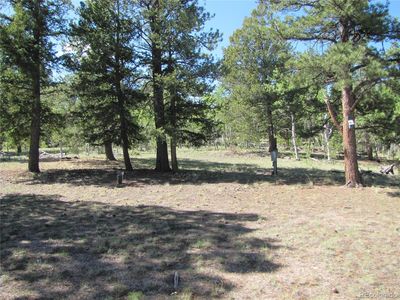 1132 Brahma Circle, Hartsel, CO, 80449
