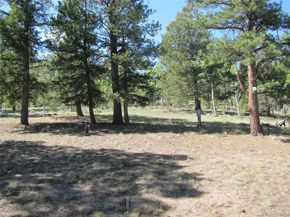 1132 Brahma Circle, Hartsel, CO 80449