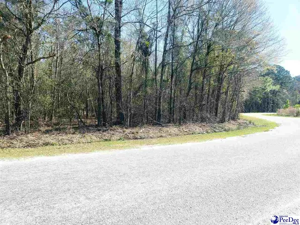 Club Dr, Lamar, SC 29069