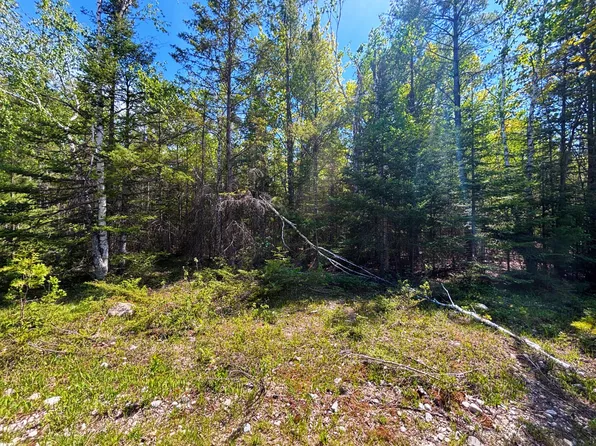 LOT 311 Kauffman Rd, Presque Isle, MI 49777