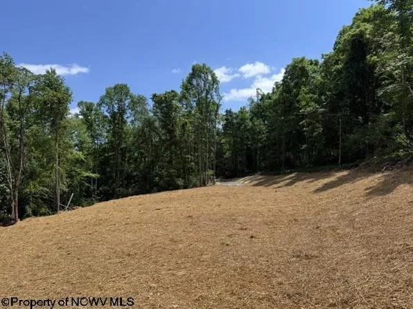 River Rd, Belington, WV 26250