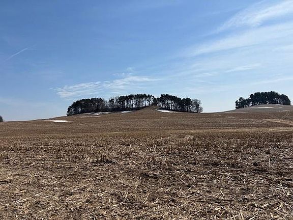 3rd image of XXX Halama Road