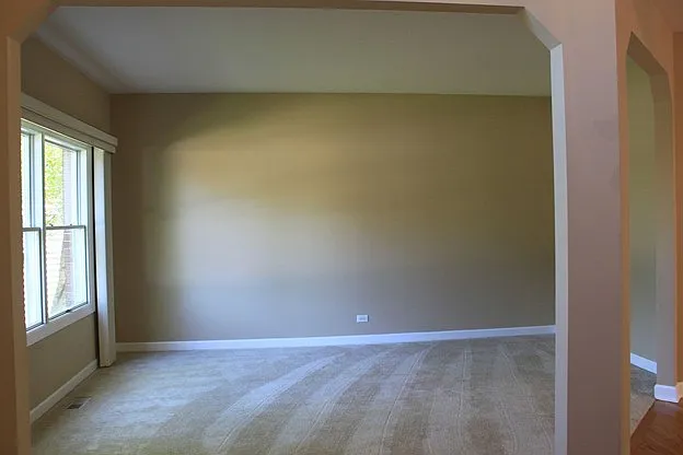 Goldenrod Ct, Crystal Lake — Photo 3