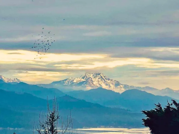 521 E Enchantment Drive, Union, WA 98592