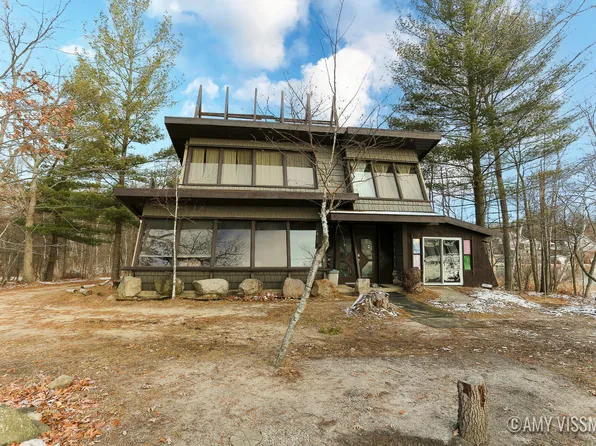 2721 Island Dr SW, Stanton, MI 48888