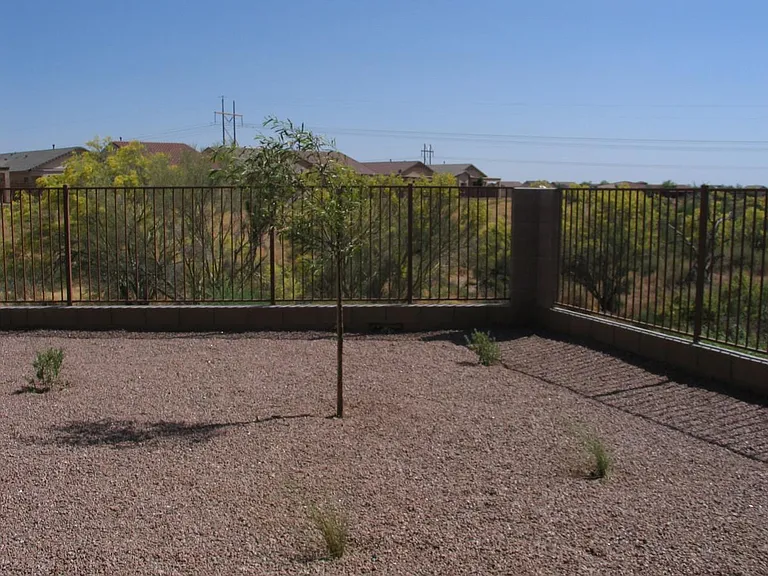 Backyard (old pic, 3 tall bushes now)