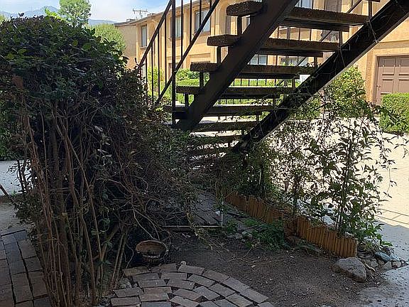 Main Entrance - Garden