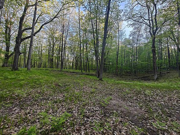 3rd image of 5899 Elm Run