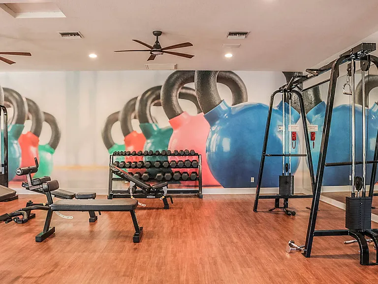 Free Weights