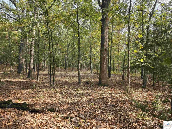 Forbes Rd, Edwards, MO 65326