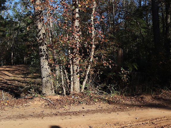 5th image of 0 Pin Tail Dr Lot 157