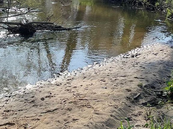 3rd image of 8040 Martin Rd