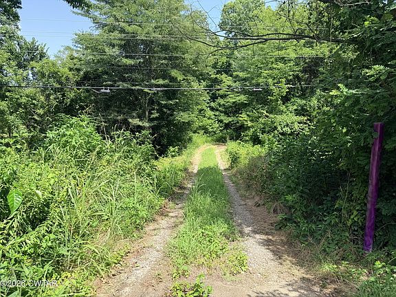 2nd image of 8672 Highway 78