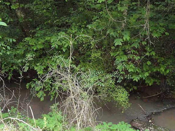 2nd image of 484 Of County Rd