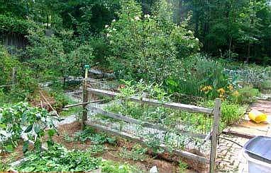 Mid-Orchard and Pond