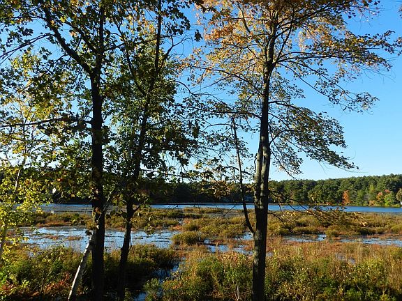 4th image of 52 Sandy Pond Rd