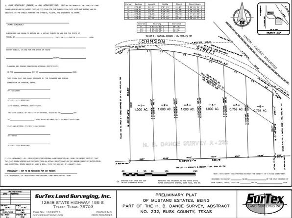 1 Johnson St, Overton, TX 75684