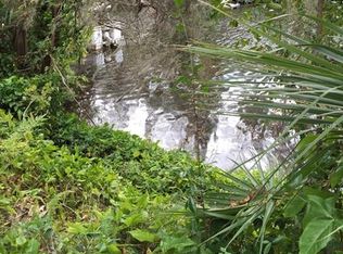 4226 Alafia Blvd, Brandon, FL 33511