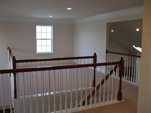 ElevationImage