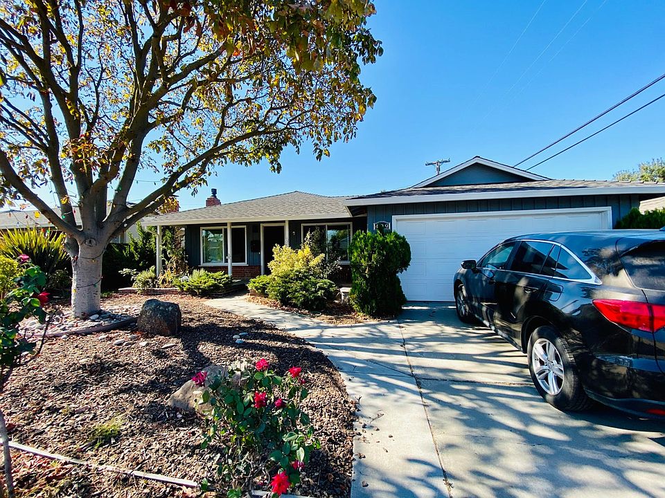 Beautiful front yard with rose plants landscape