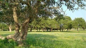1st image of 6249 Highway 29 W