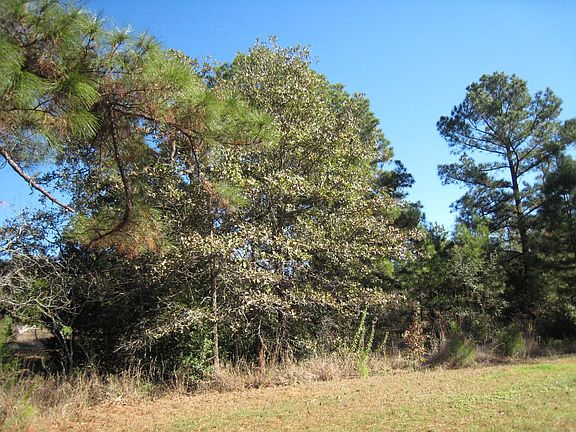 North side back fence line